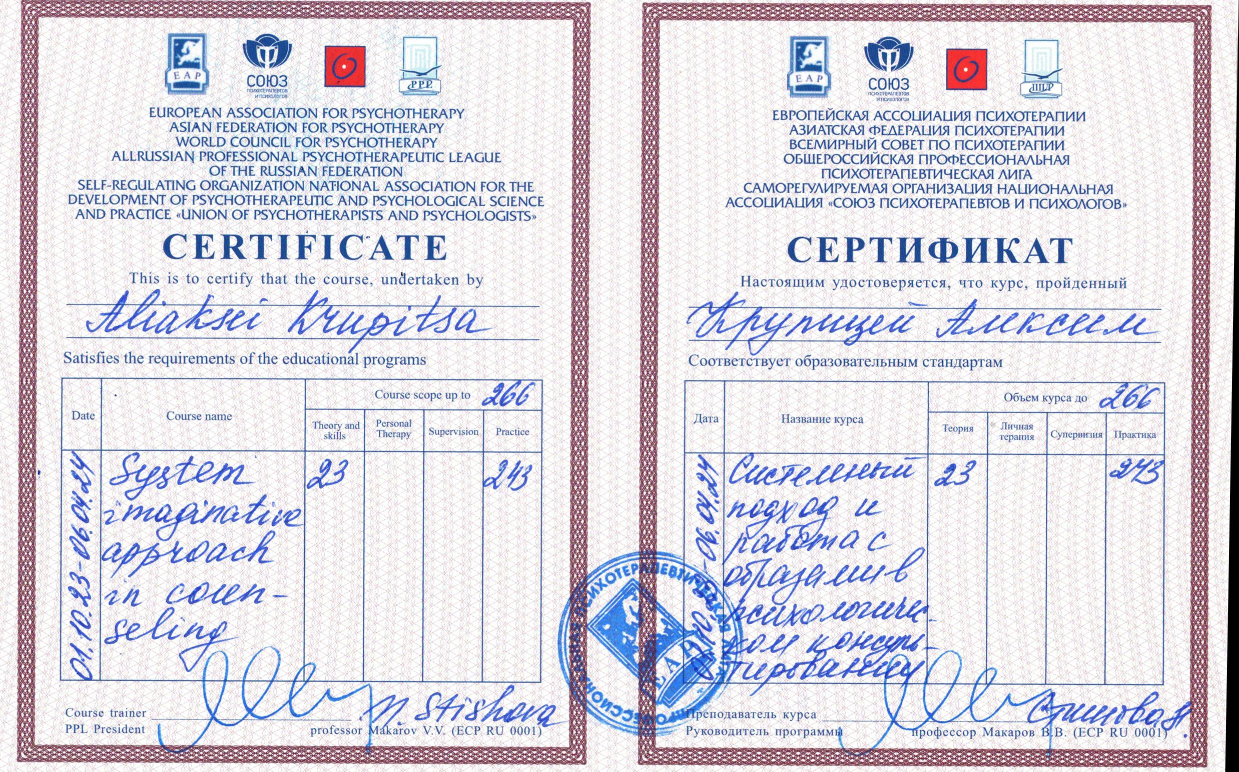 системная семейная